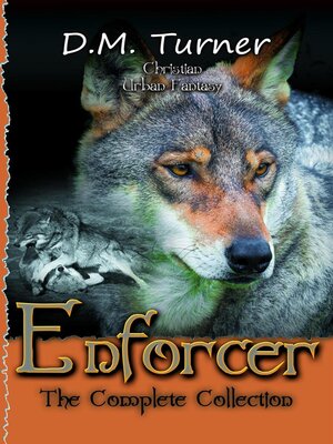 cover image of Enforcer